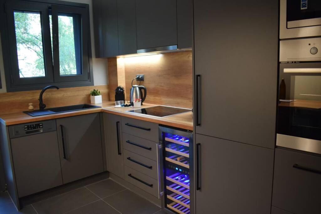 Ockto Luxurious Business Travel Apartment Athens Ngoại thất bức ảnh